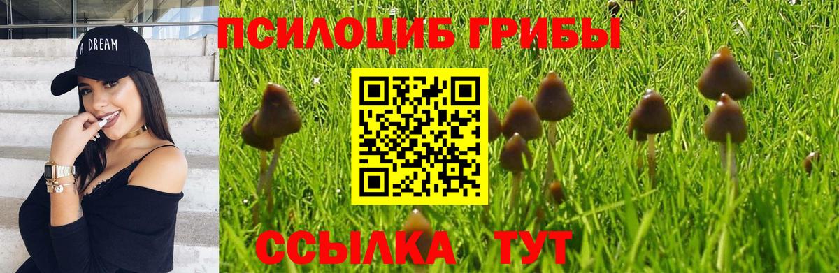 Галлюциногенные грибы мицелий  Вход с VPN  Орёл 